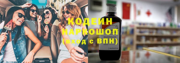 стаф Елизово