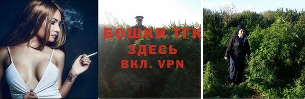 мяу мяу мука Елабуга