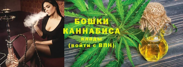 стаф Елизово