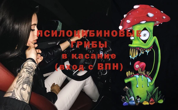 стаф Елизово