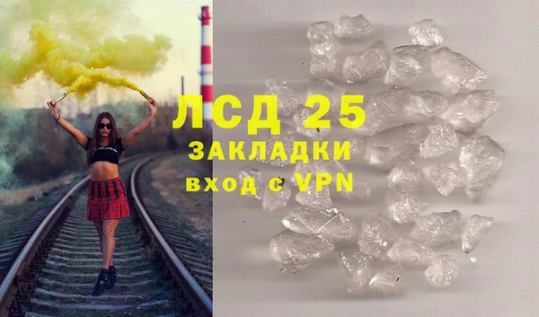 стаф Елизово