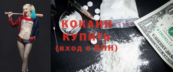 стаф Елизово