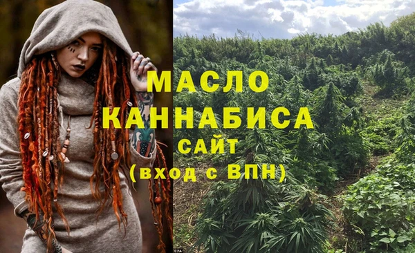 стаф Елизово