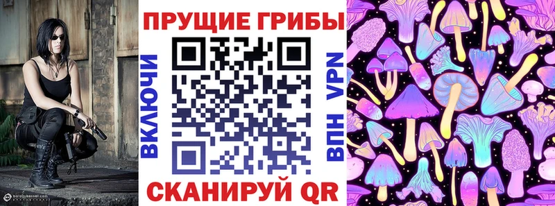 Псилоцибиновые грибы прущие грибы  Кадников 